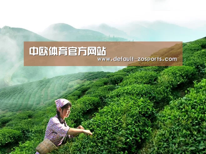 中欧体育官方网站