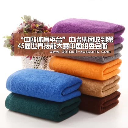 中欧体育