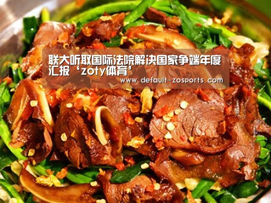 联大听取国际法院解决国家争端年度汇报‘zoty体育’(图3) zoty体育