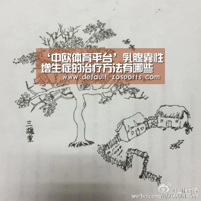 中欧体育官网